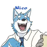 nico30b