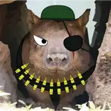 thatcombatwombat