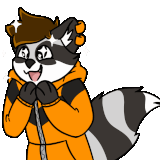 RemyRaccoon