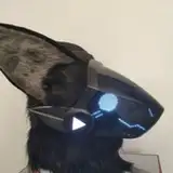 JtingF