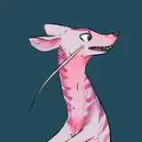 Mindkog