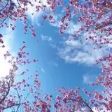 skybox3D
