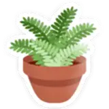 simkoos