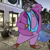 r4coon