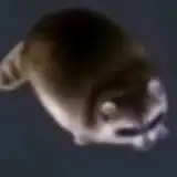 Jonbenigno