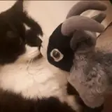 Jayandnightasmr