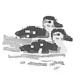 junkuma
