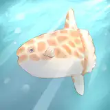 zirahumanbou