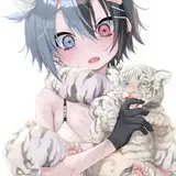 dancyo03