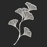 Stuki_Tora